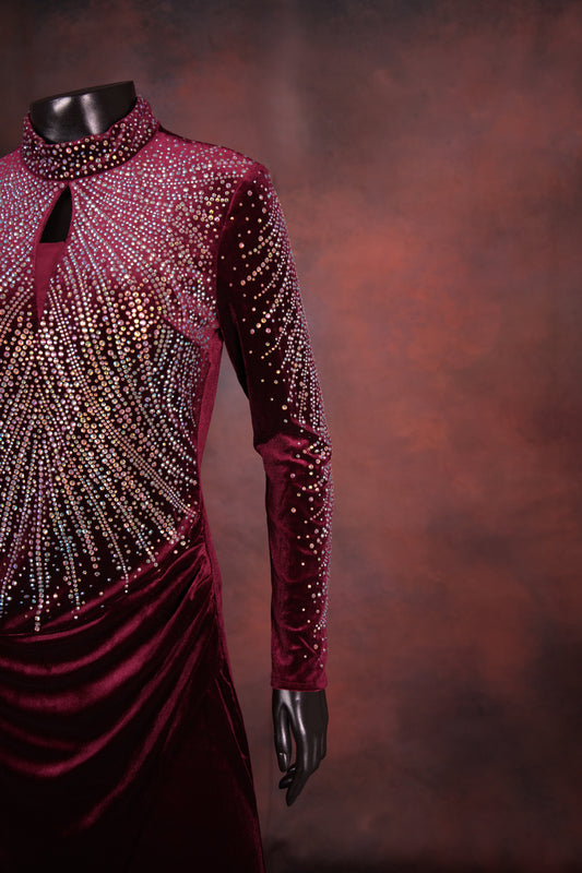 Wine Velvet Embellished High Neck Gown