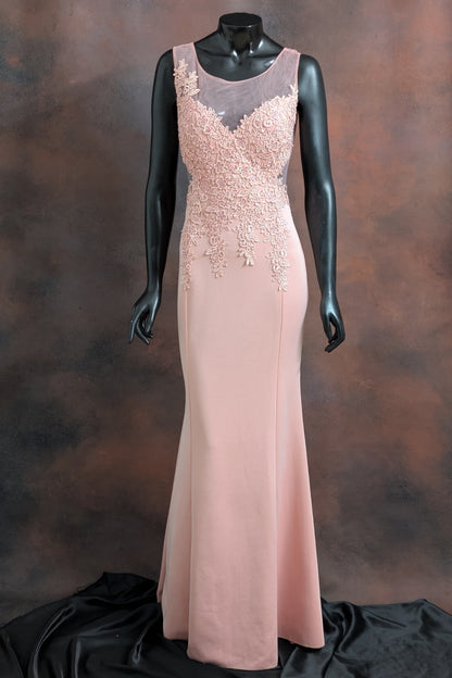 Blush Lace Embroidered Sleeveless Gown