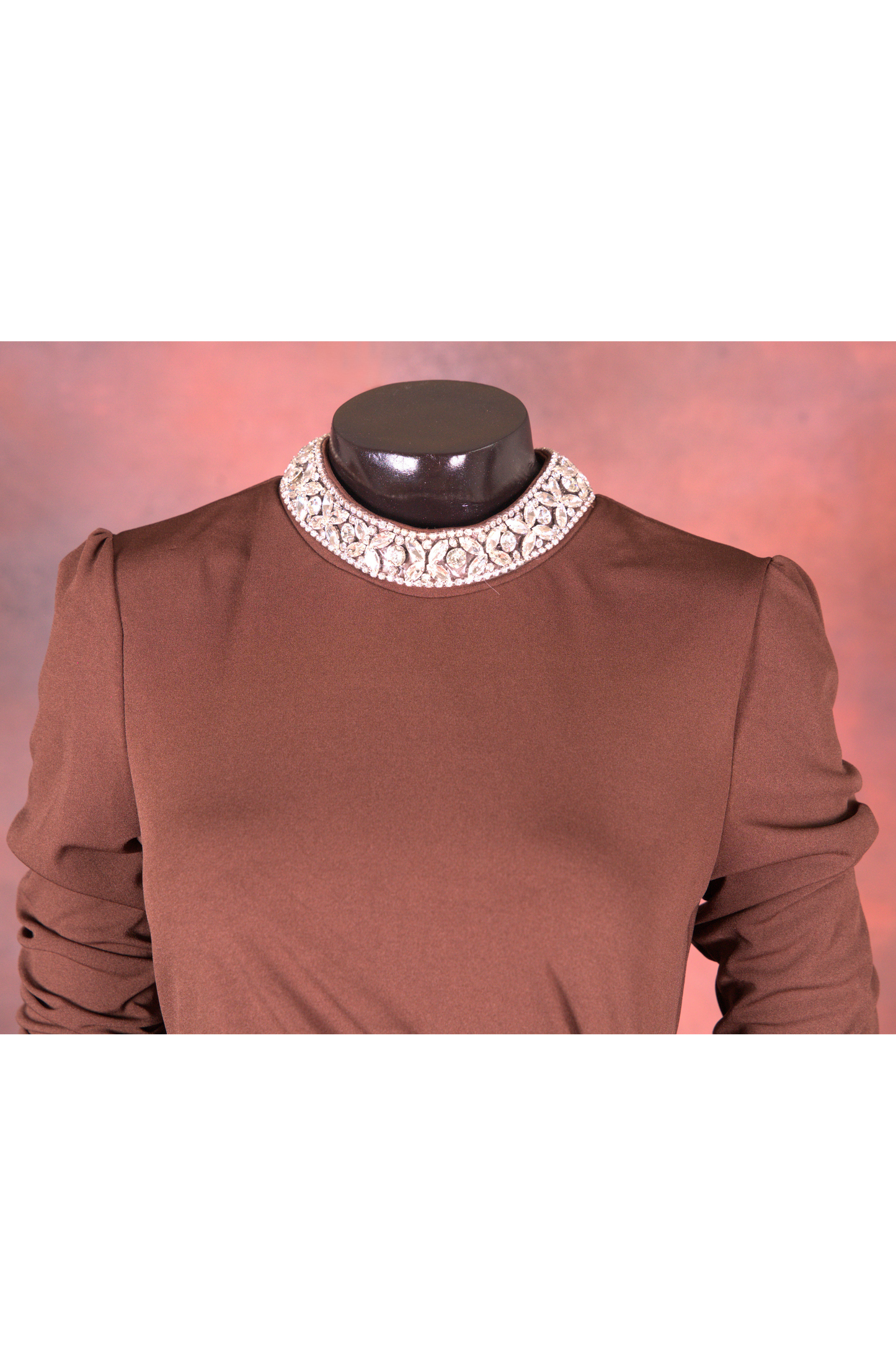 Chocolate Brown Embellished Evening Gown