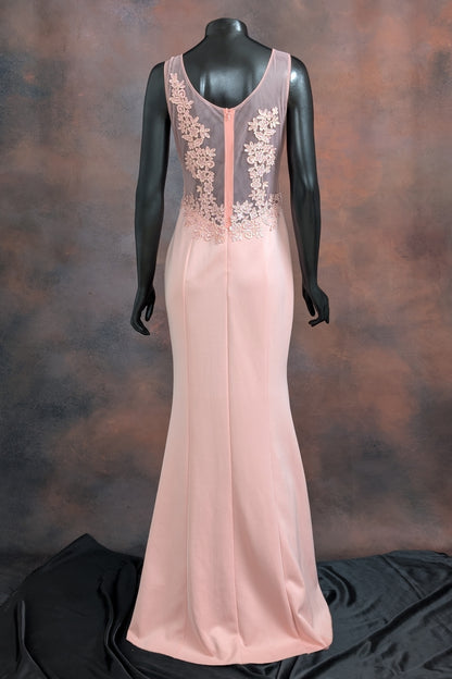 Blush Lace Embroidered Sleeveless Gown