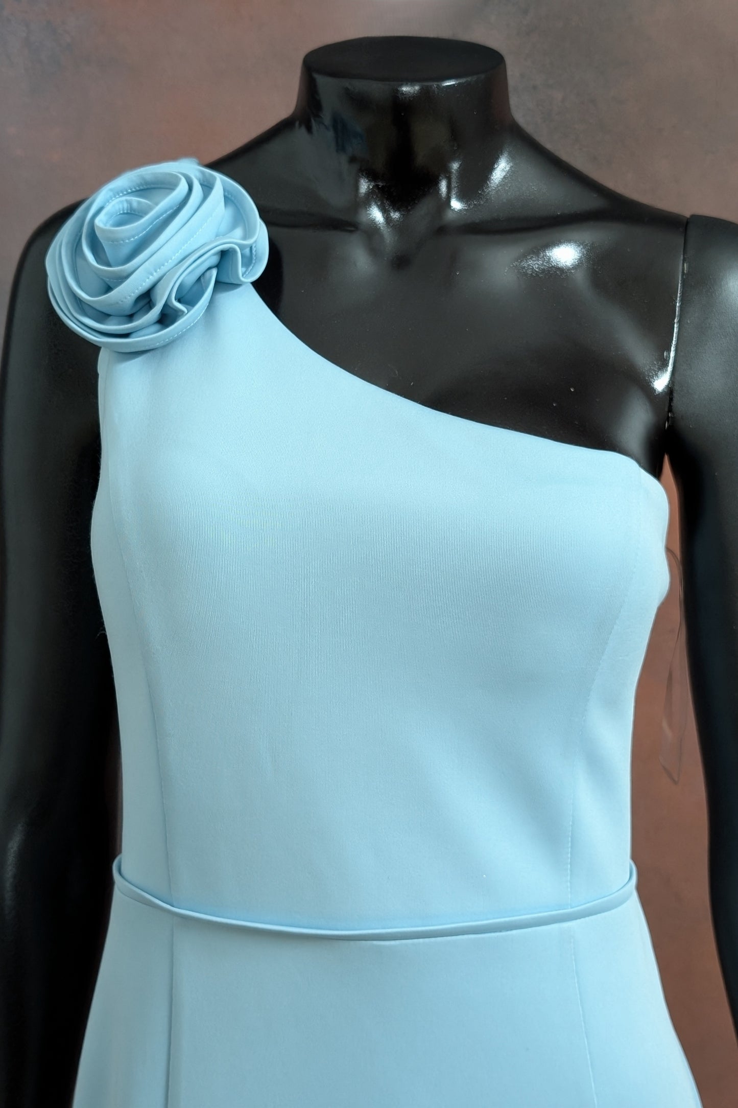 Powder Blue One-Shoulder Rose Gown