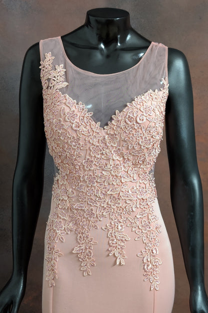 Blush Lace Embroidered Sleeveless Gown