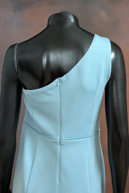 Powder Blue One-Shoulder Rose Gown